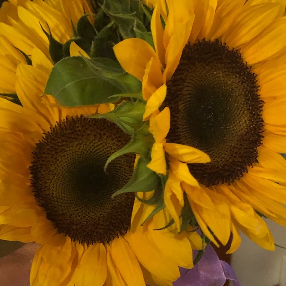 Meet your Posher, Sonja - Picture 1 of 1